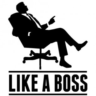 Like A Boss.jpg