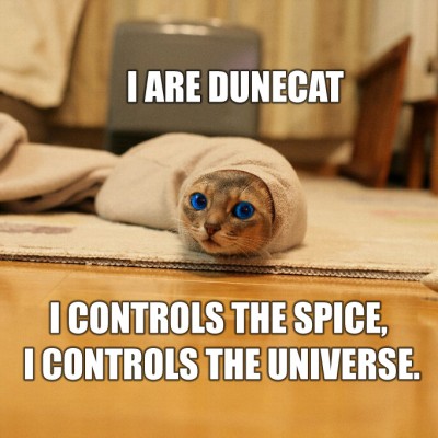 dunecatab4.jpg